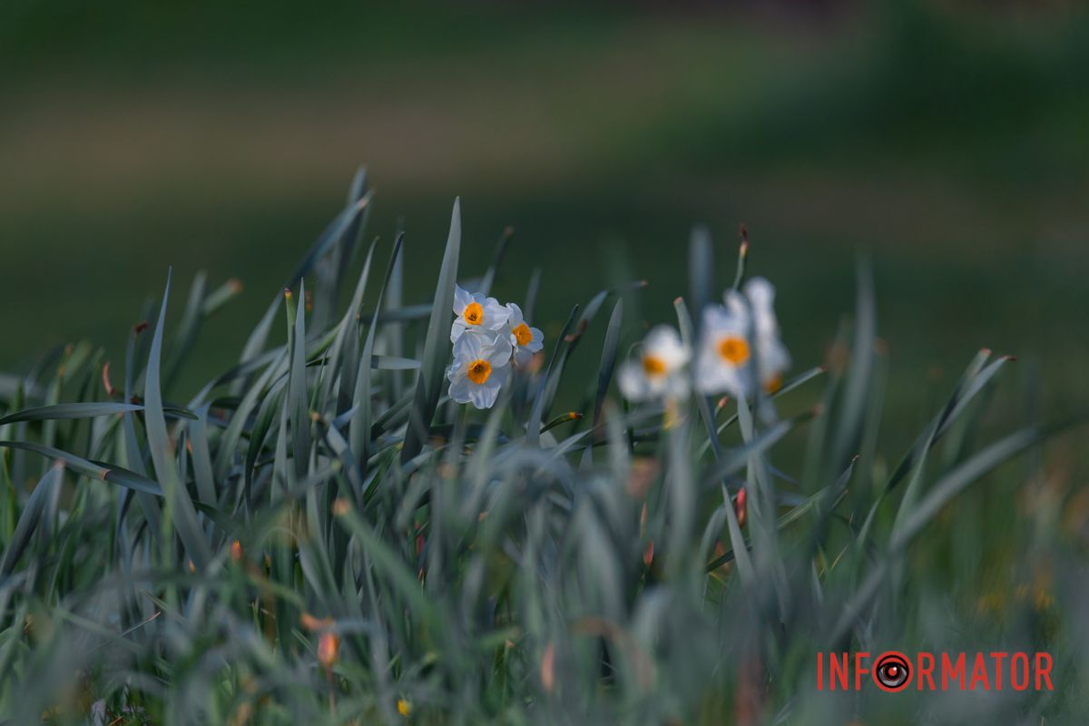 І дуже рідко можна зустріти усміхнених перехожих