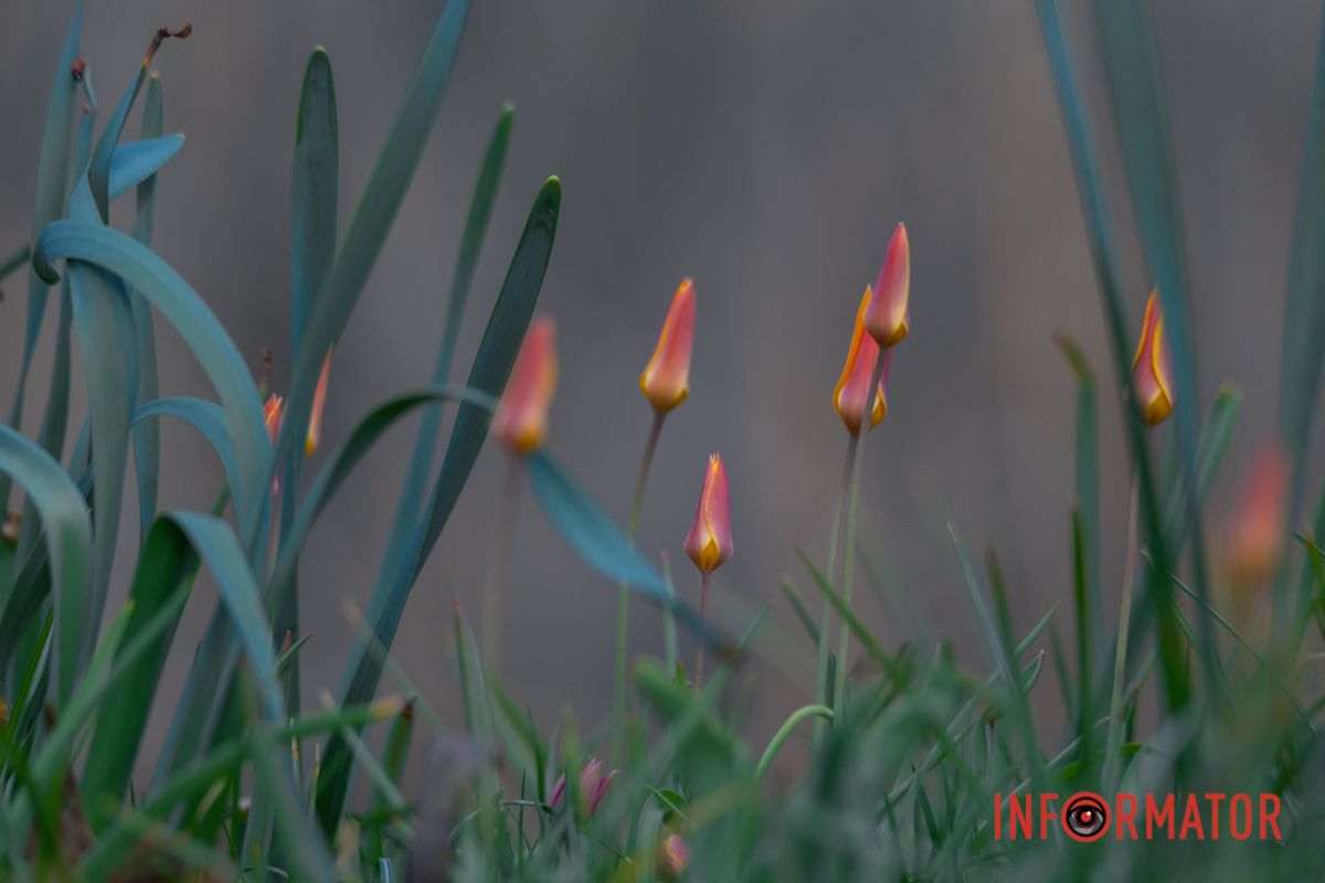  Однак, війна накладає на людей свій відбиток