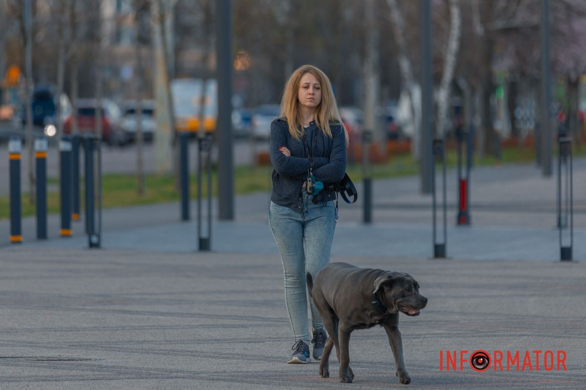 «Усе моє, все зветься Україна»