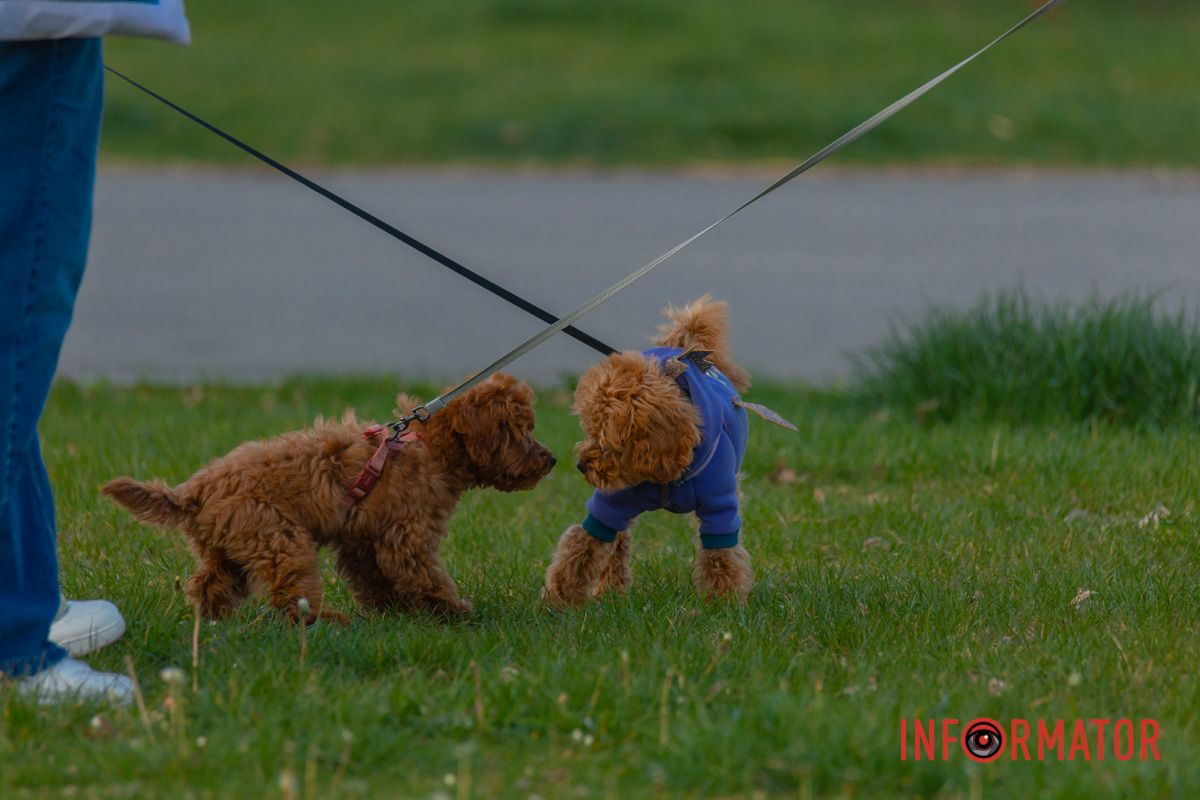 Знайомство