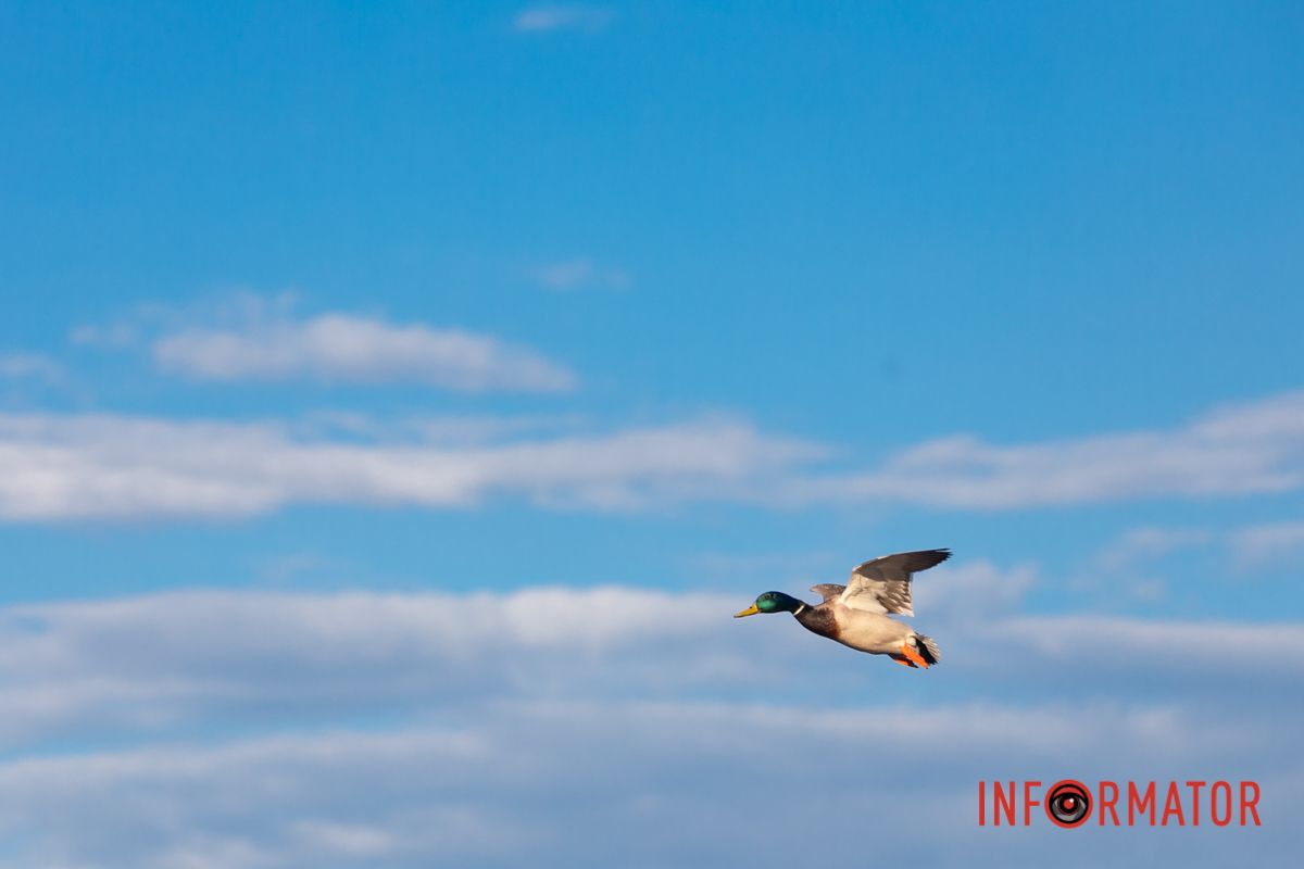 Як виглядає наше місто з такого ракурсу 