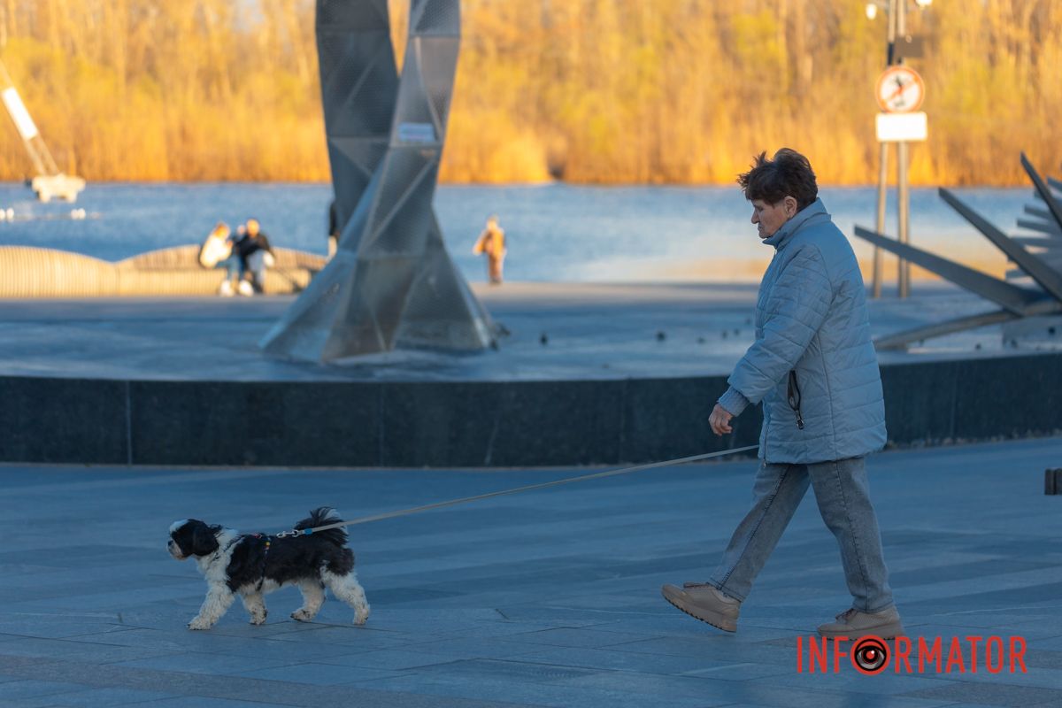 Заведіть собі вірного чотирилапого друга 
