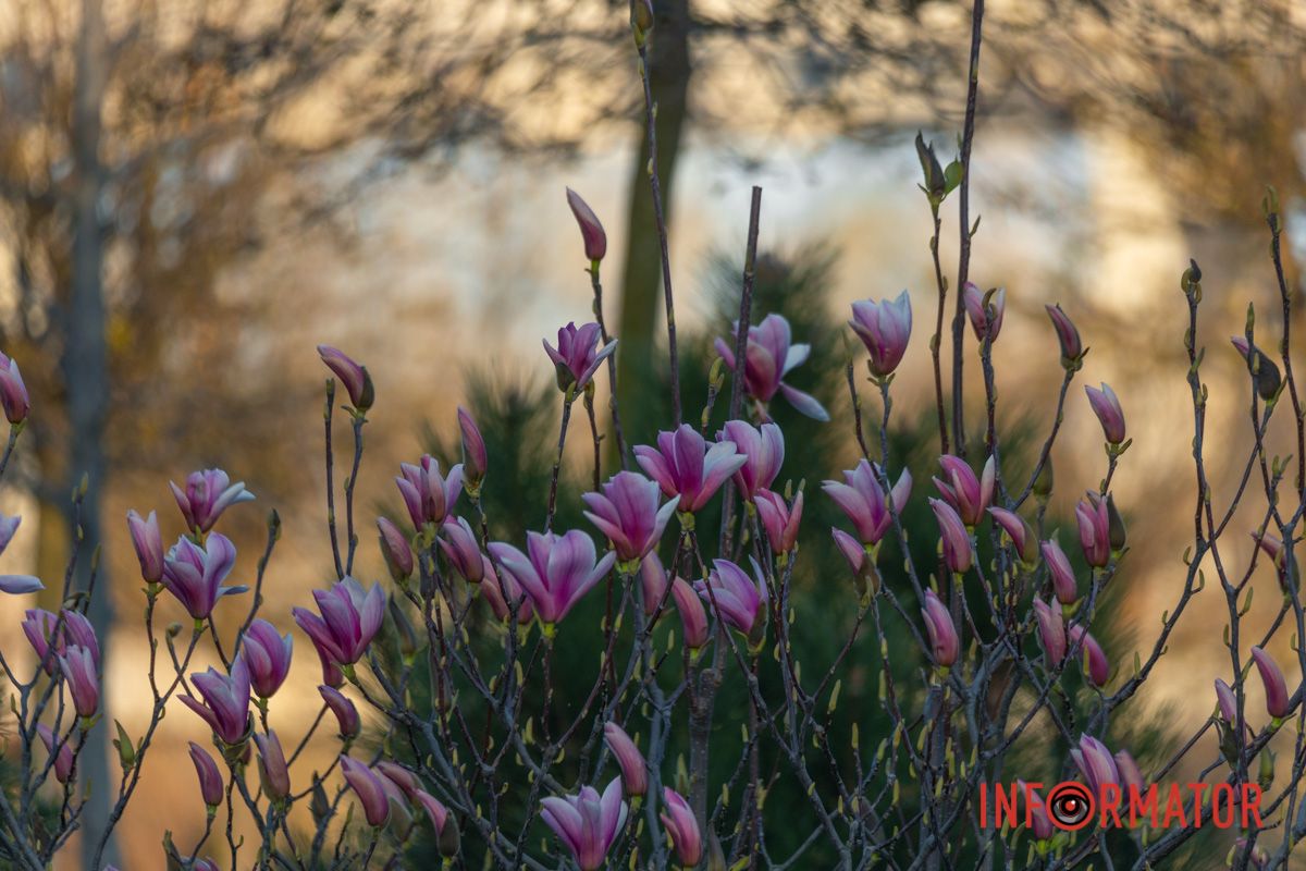 І на собі війну відчули люди…