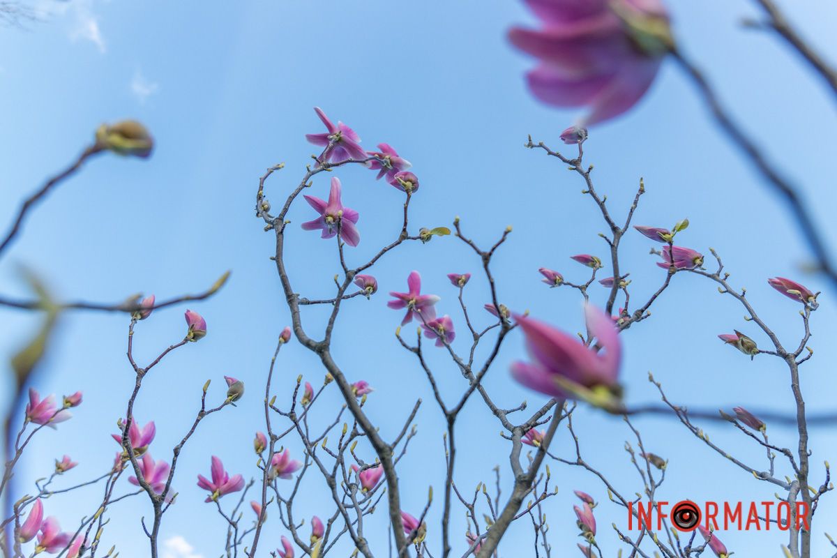 Війну відчула на собі земля,