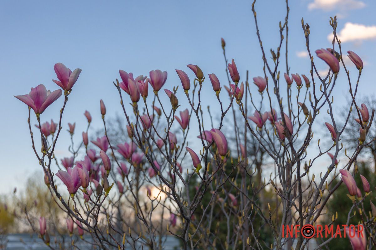 Та почали кривавити поля,