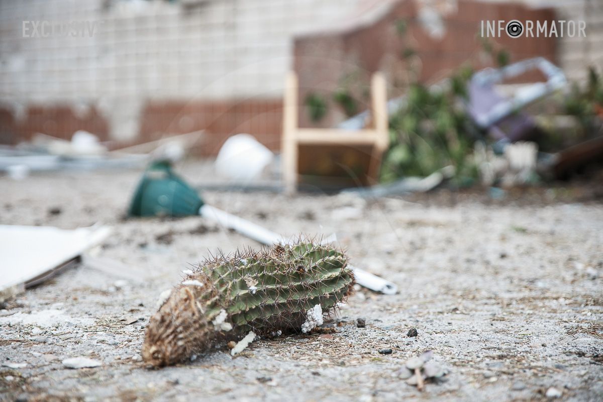русский мир убивает все живое