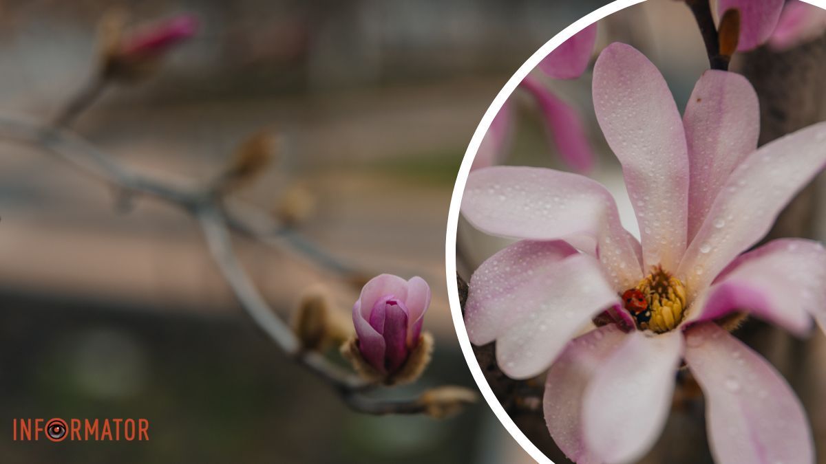 Погода на 6 апреля: в Днепре будет небольшой дождь