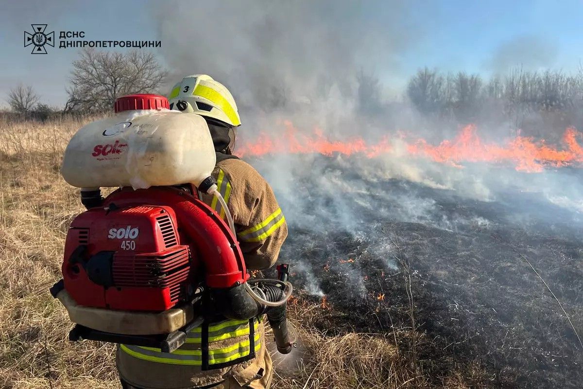 Воспламенение произошло в селе Александровка, пылает сухая растительность Воспламенение произошло в селе Александровка, пылает сухая растительность