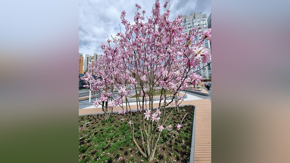 Якби у Дніпра був Instagram: топ красивих світлин міста