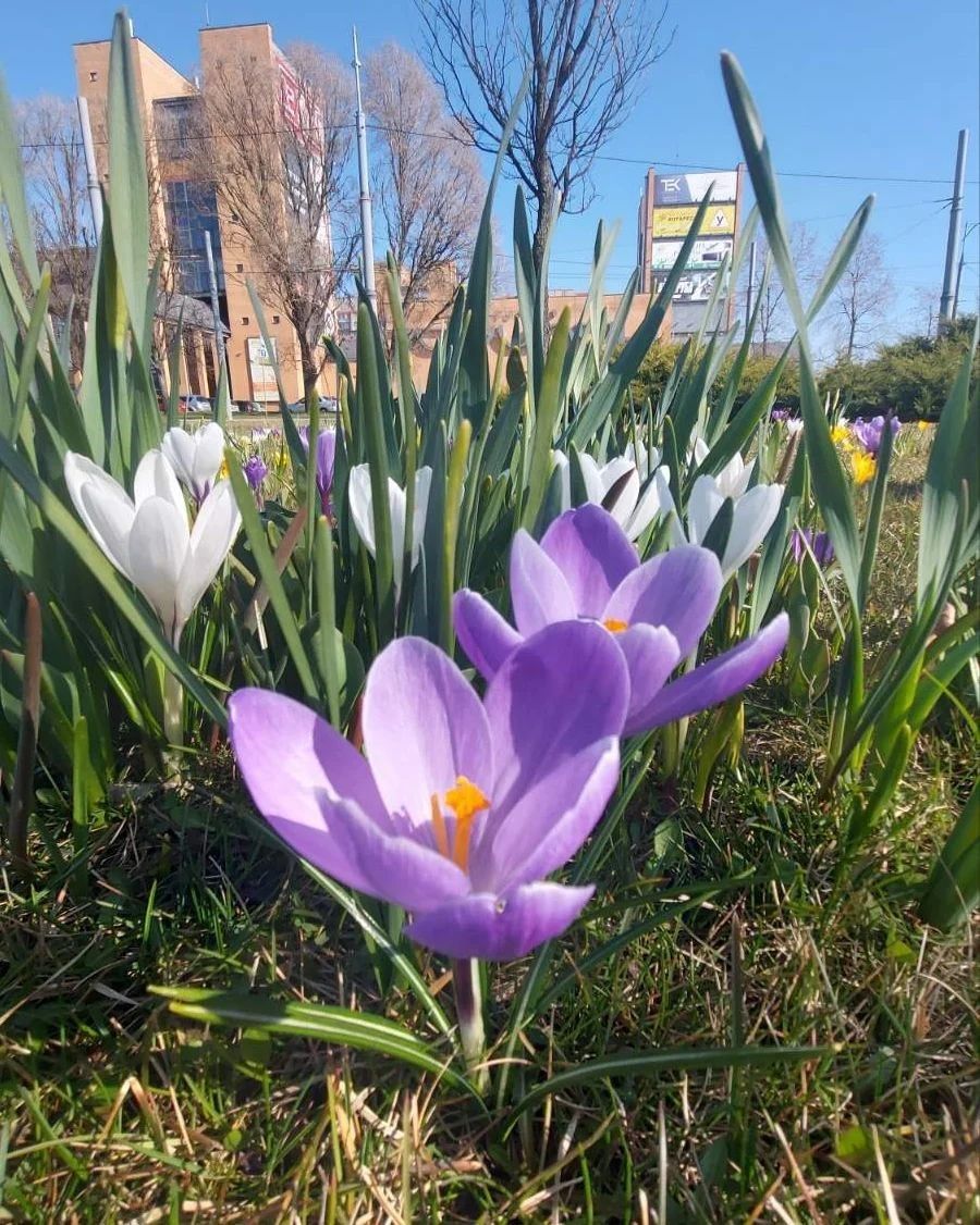 natalialuzganova natalialuzganova