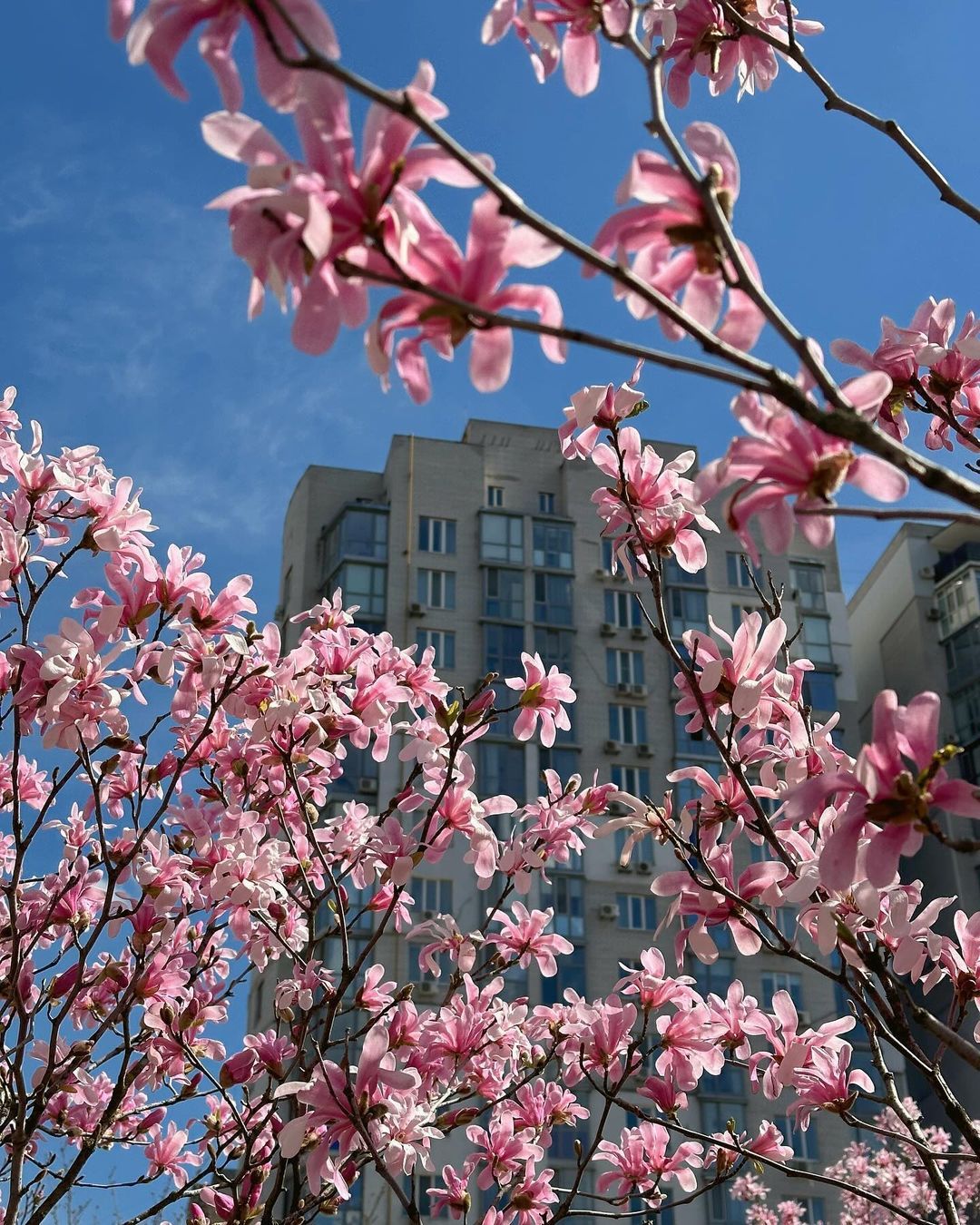 lekastulchik lekastulchik