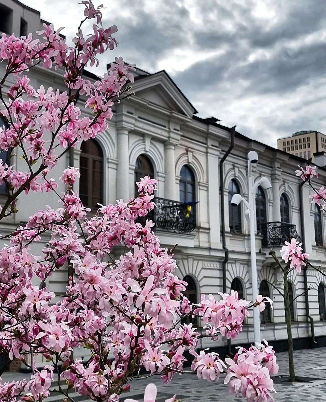 lilia_dolgoli lilia_dolgoli