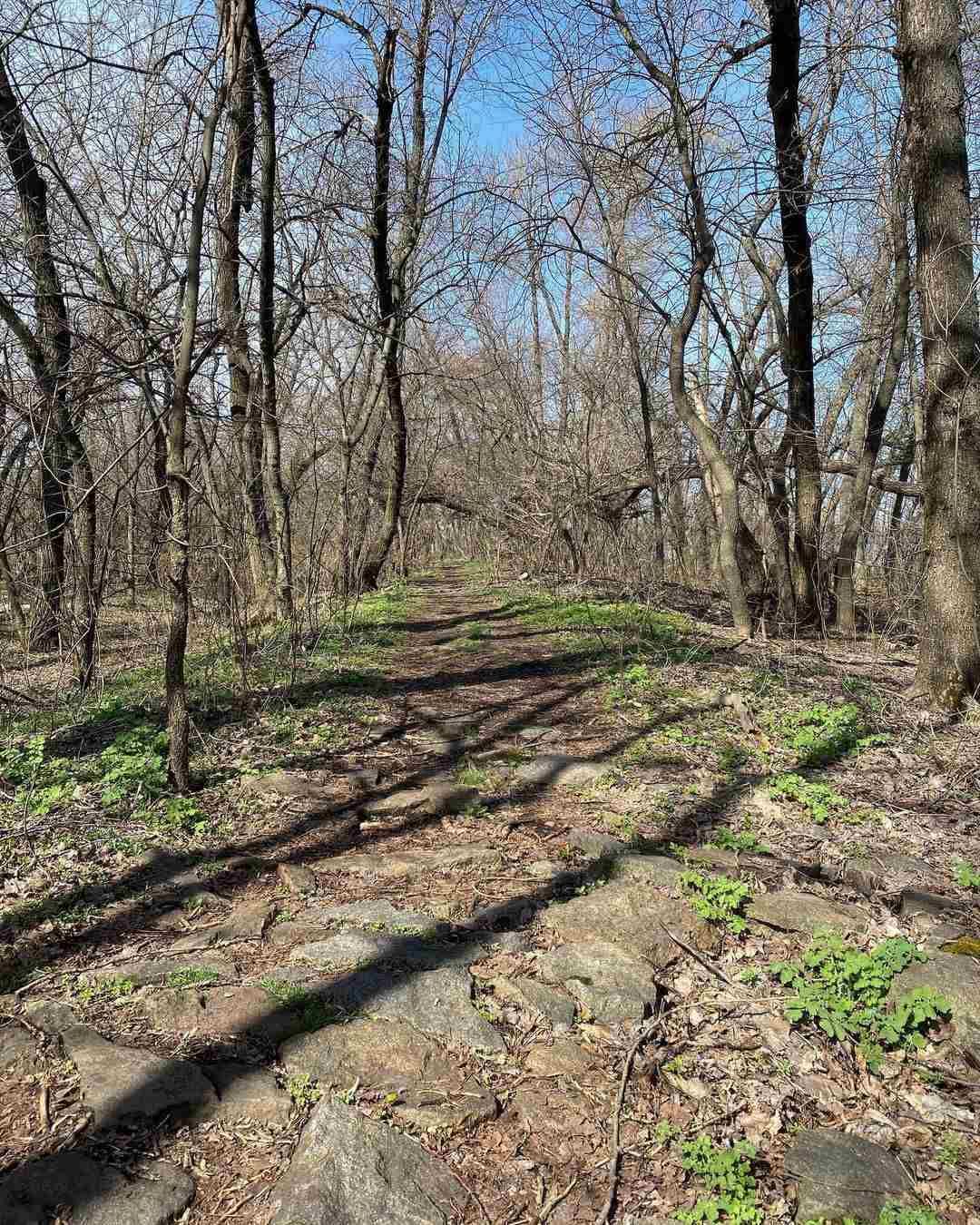 photo_gallery_dp photo_gallery_dp