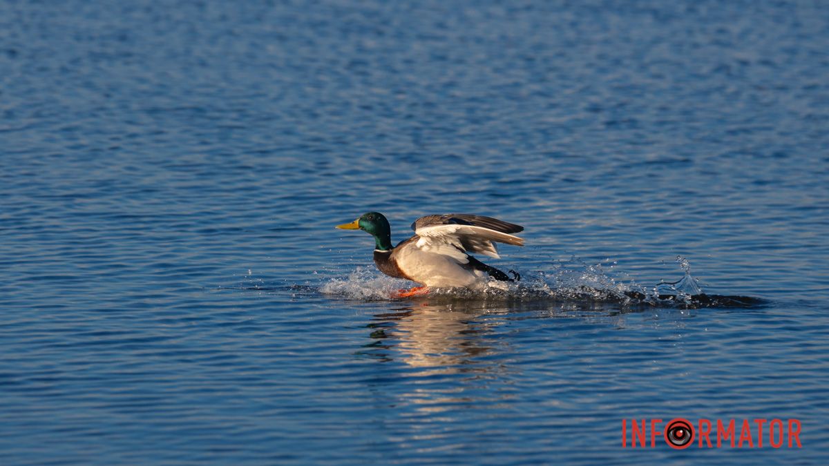 Погода на 8 апреля: в Днепре будет ясно