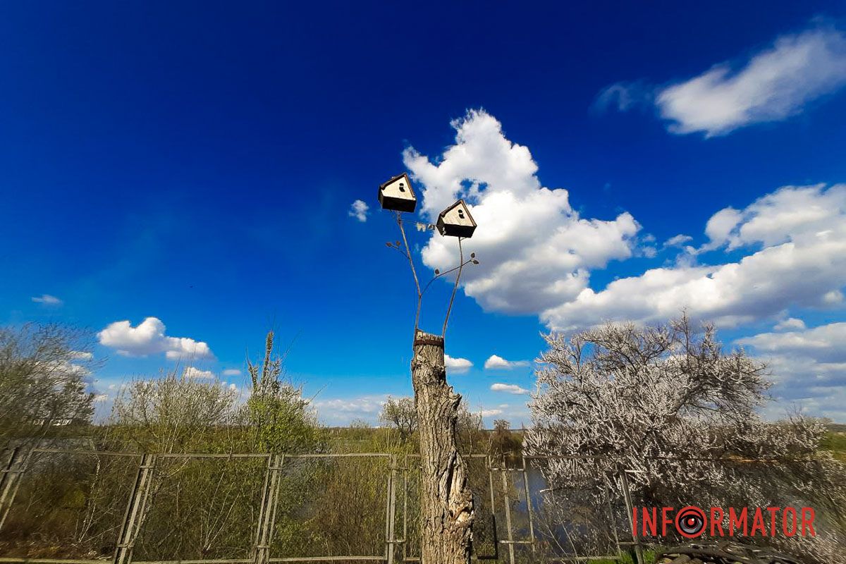 Промінням сіє сонечко жарини