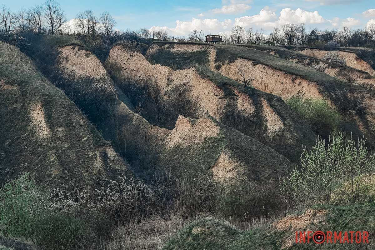 І ти між квітів — найясніший квіт! І ти між квітів — найясніший квіт!