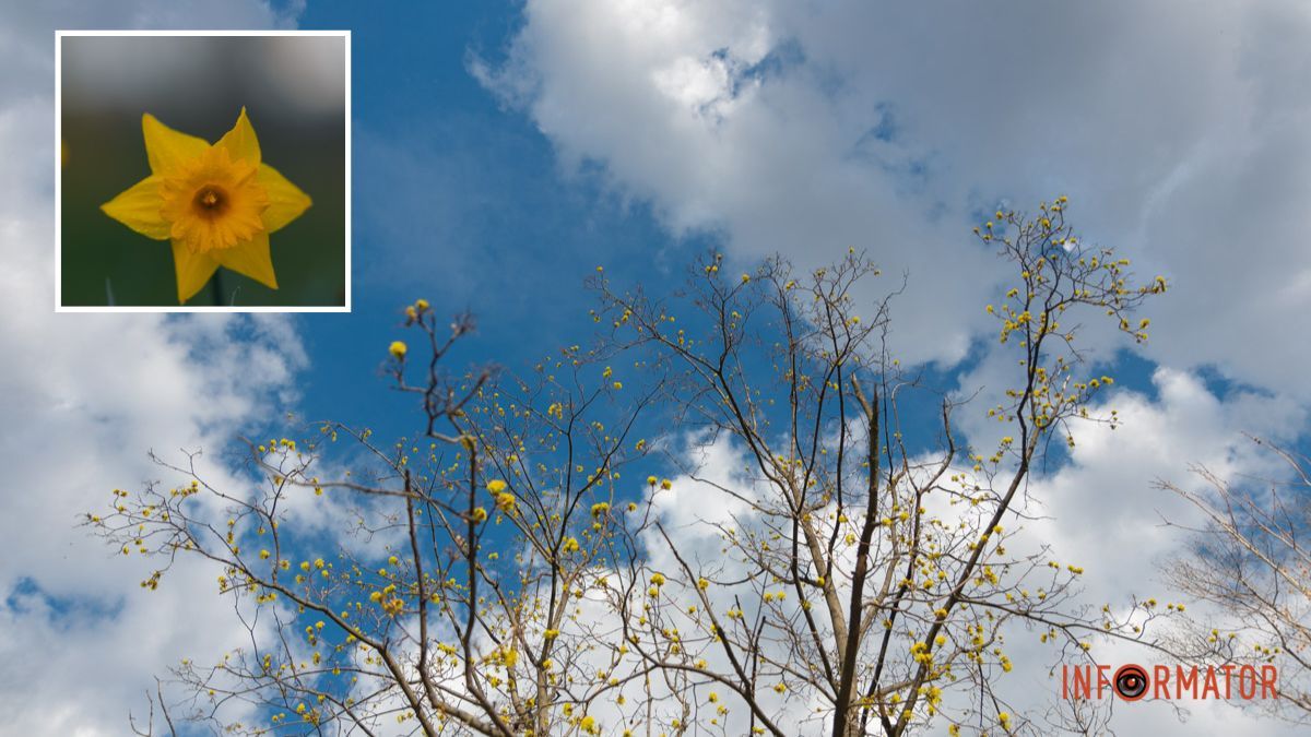 Погода на 9 квітня: у Дніпрі сонце сховається за хмарами