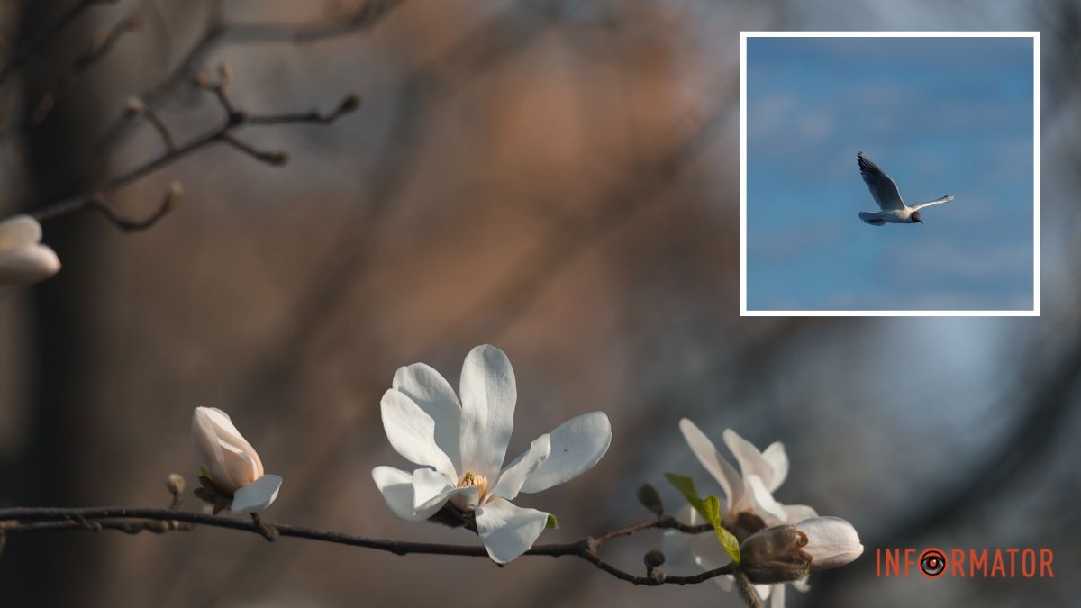 До +26 на термометрі: яка погода буде у Дніпрі 10 квітня