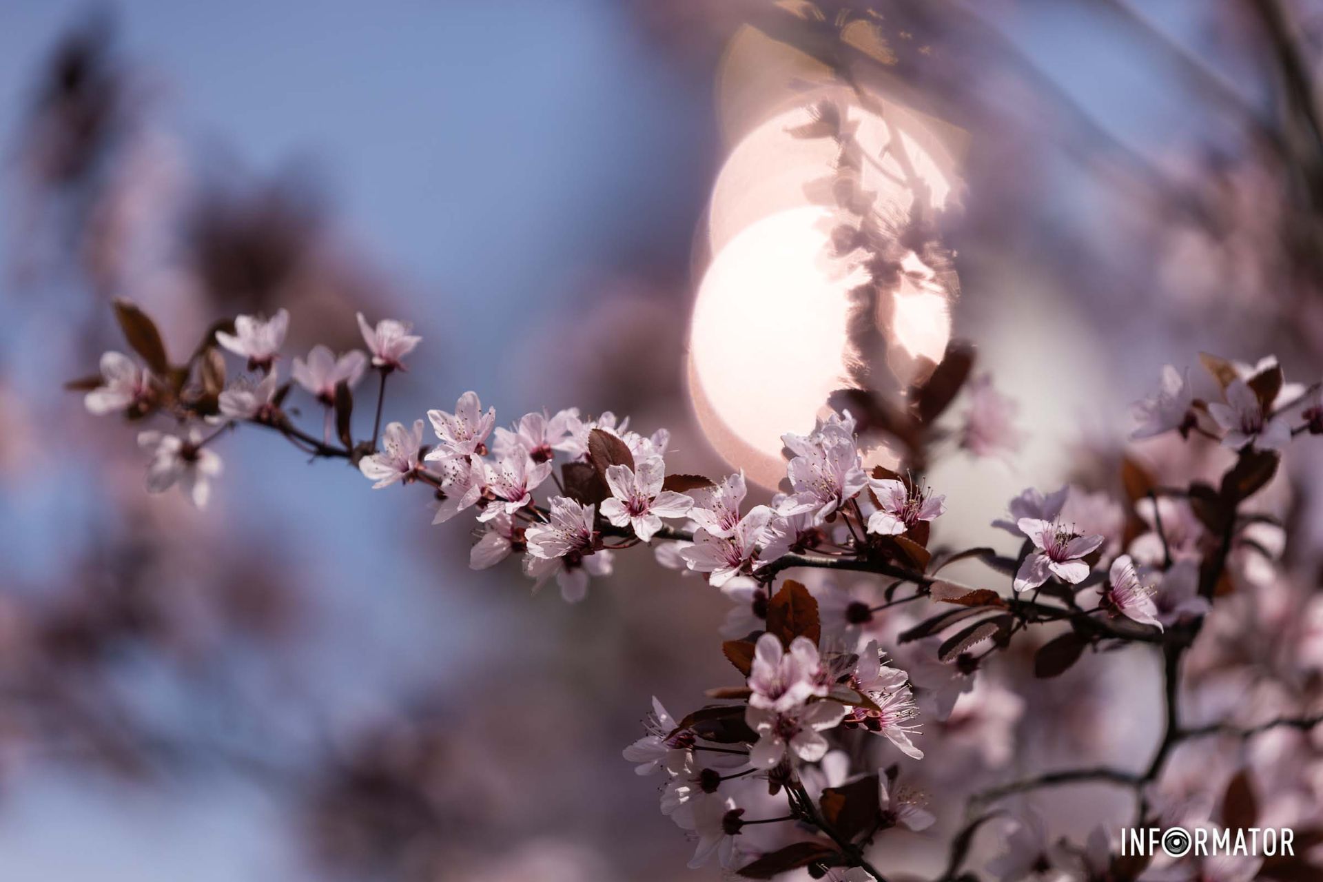 В Днепр пришла настоящая весна В Днепр пришла настоящая весна