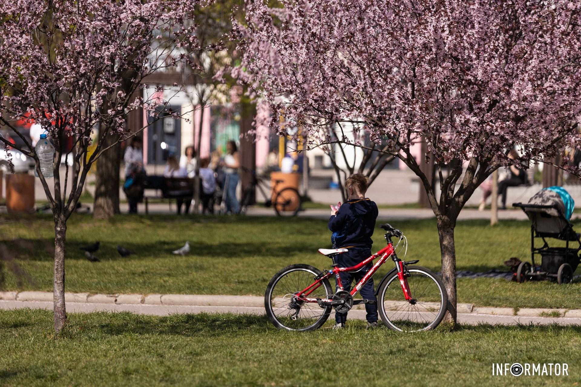 И зацветает землю прогретую, Зацветает землю прогретую,