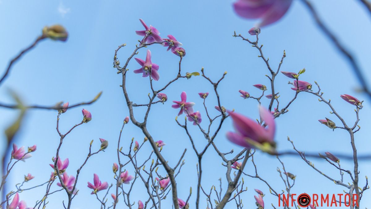 Погода на 11 апреля: в Днепре будет тепло и солнечно