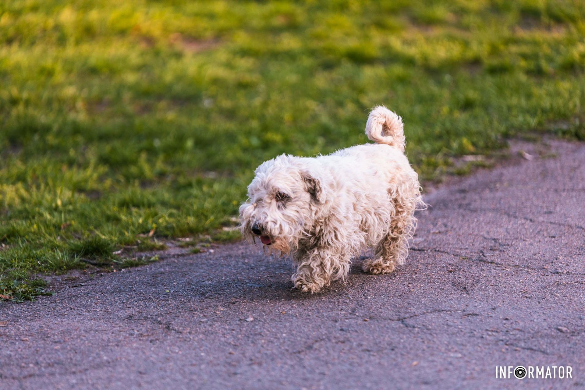 Сонця й неба діточки,