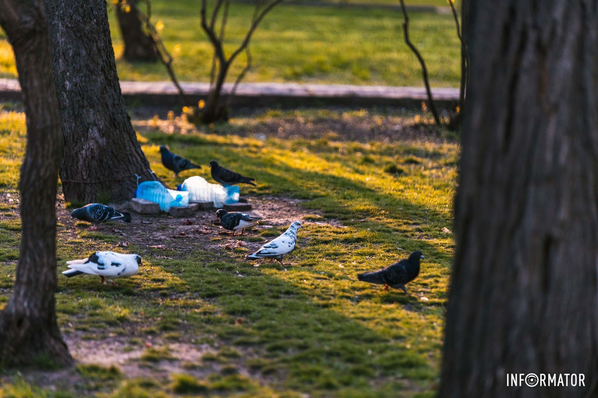 Ми тендітні квіточки,