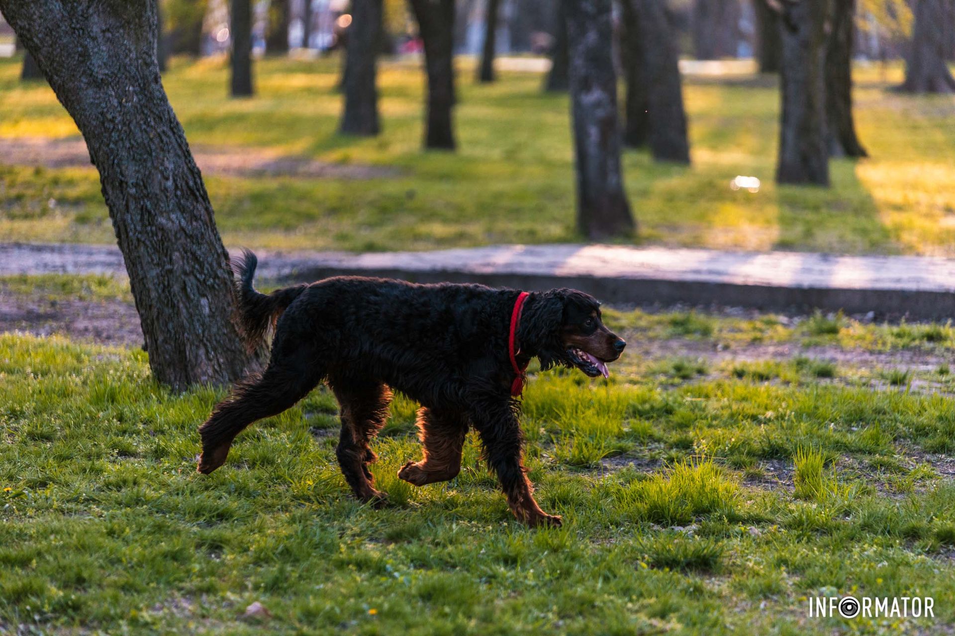 Радість дарувати.