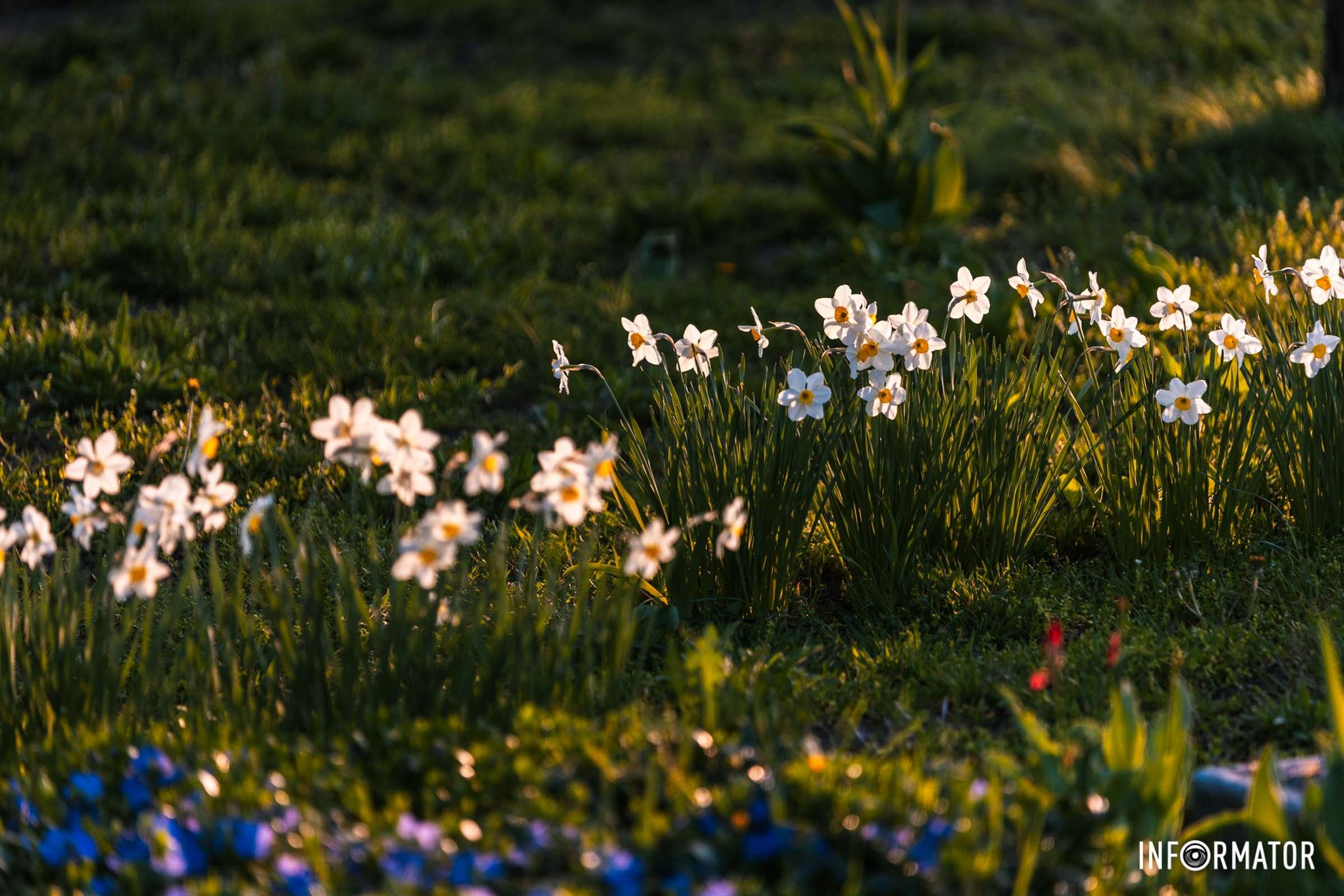 Віримо у ЗСУ!