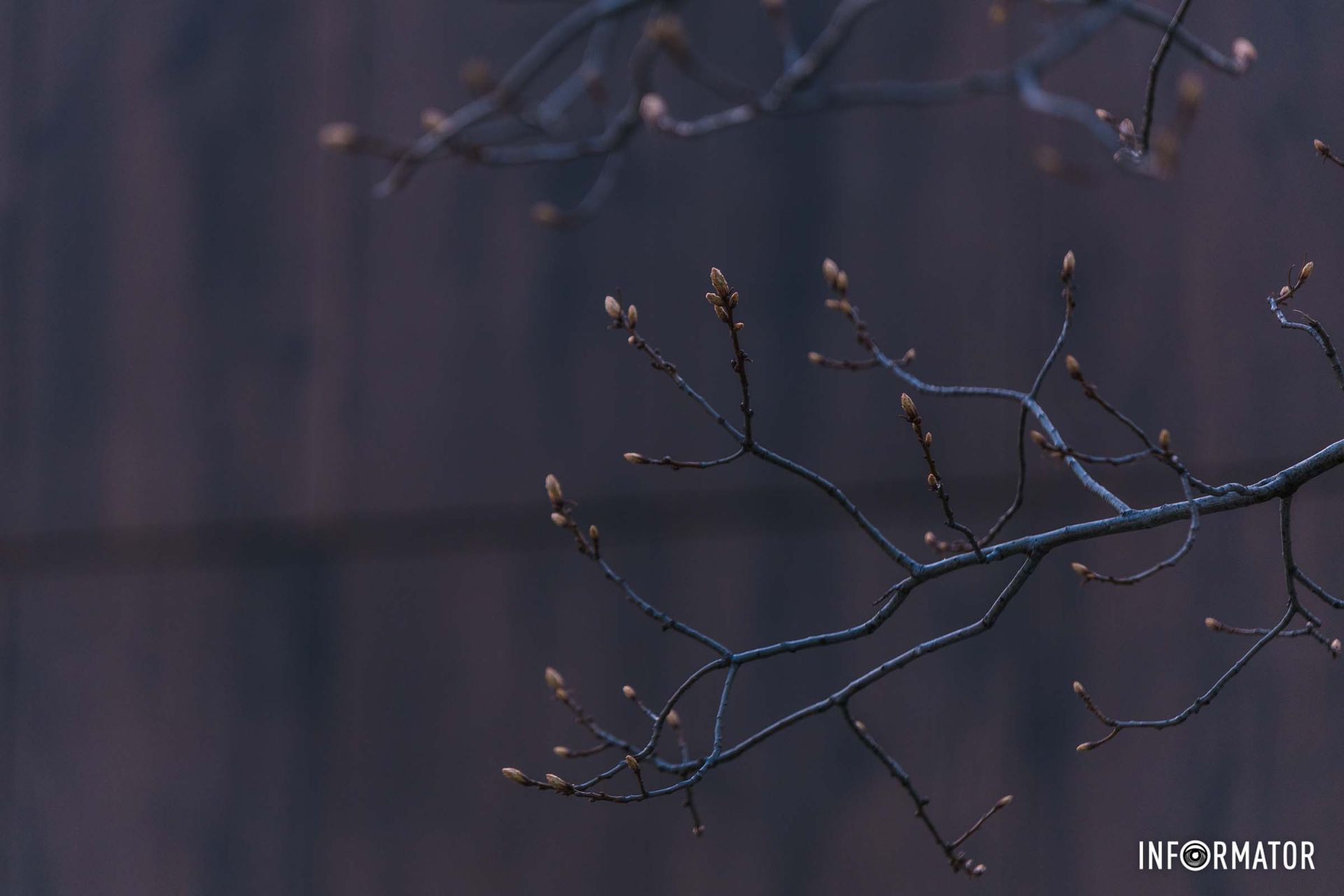 Весна прийшла у Дніпро