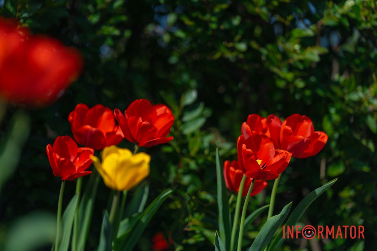 Фото: Денис Чубченко