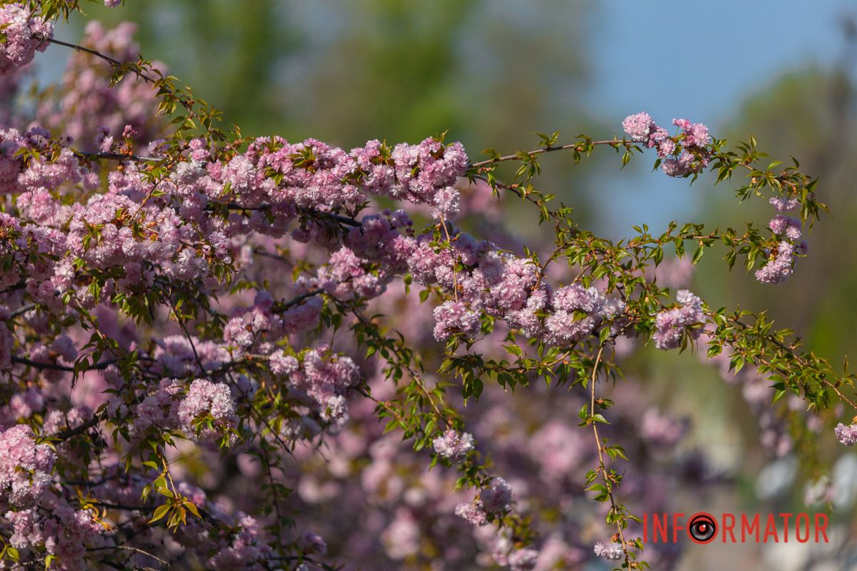Наші оператори стараються для вамс