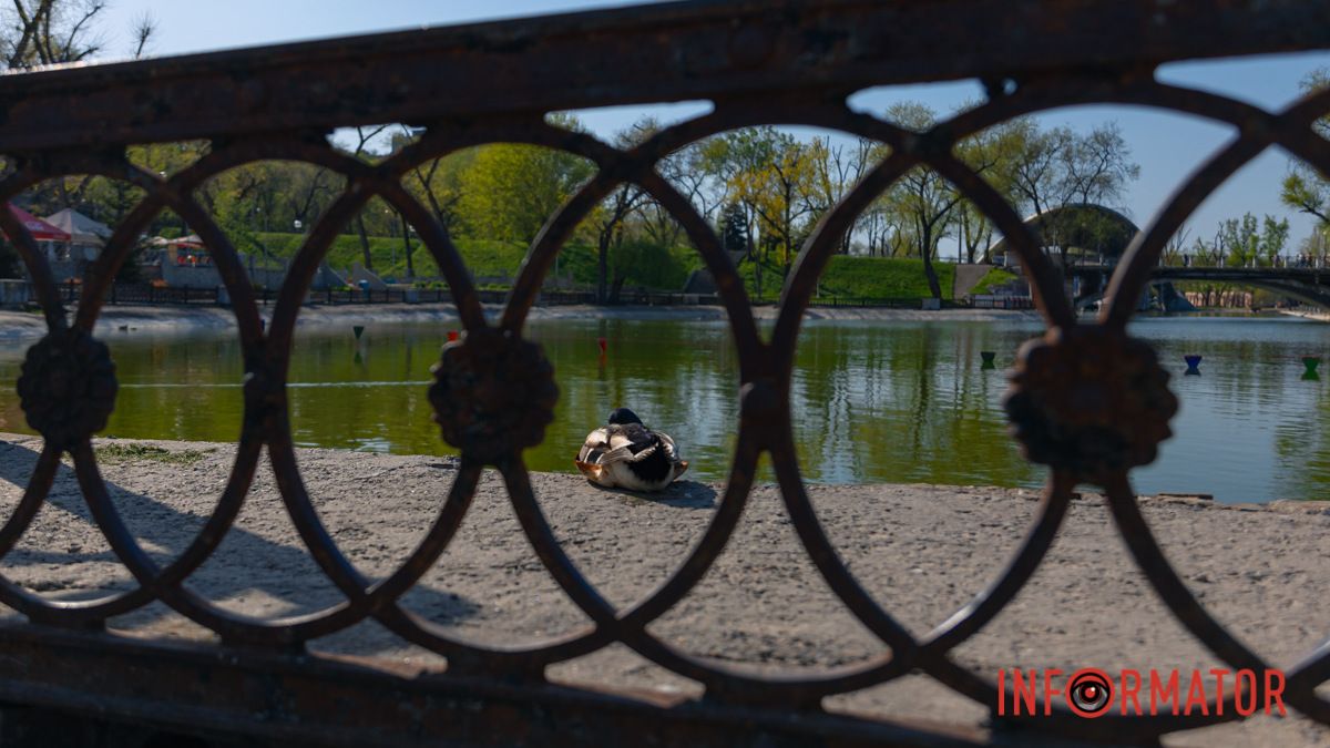 Погода на 13 апреля: в Днепре будет ясно утром и облачно днем