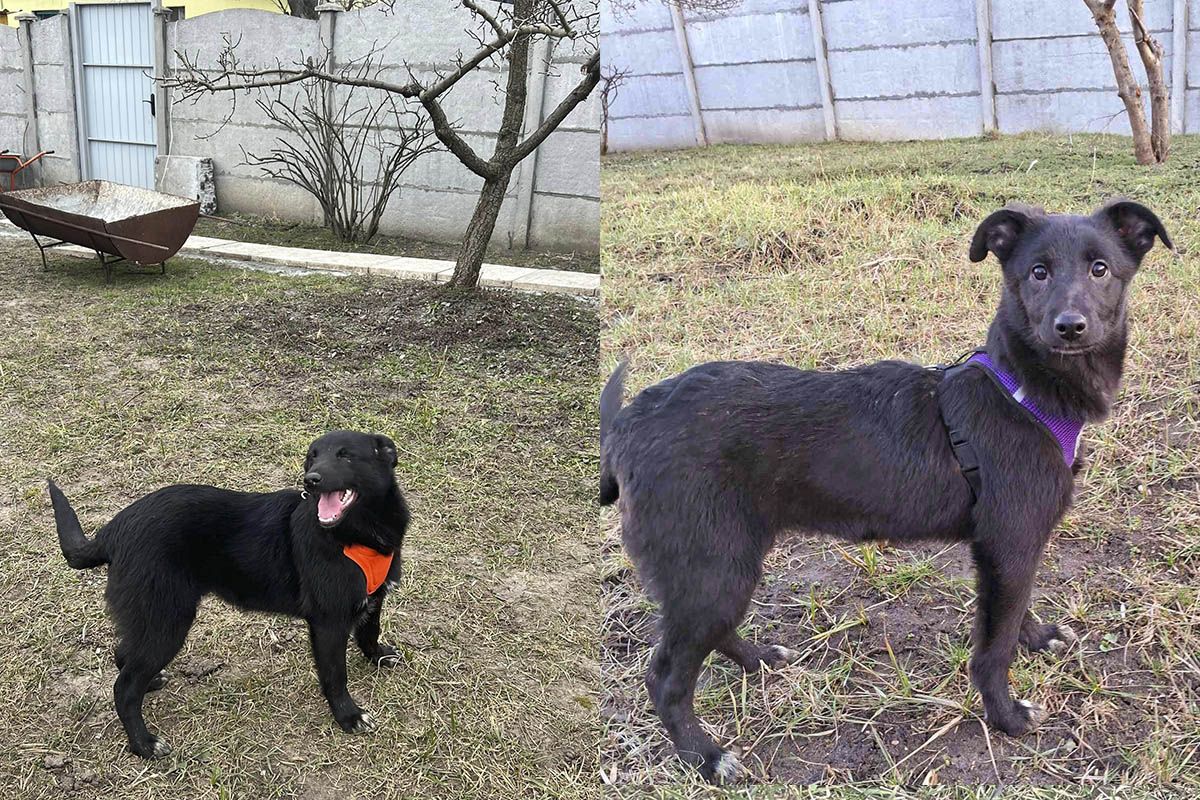 Вы только посмотрите в эти глазки