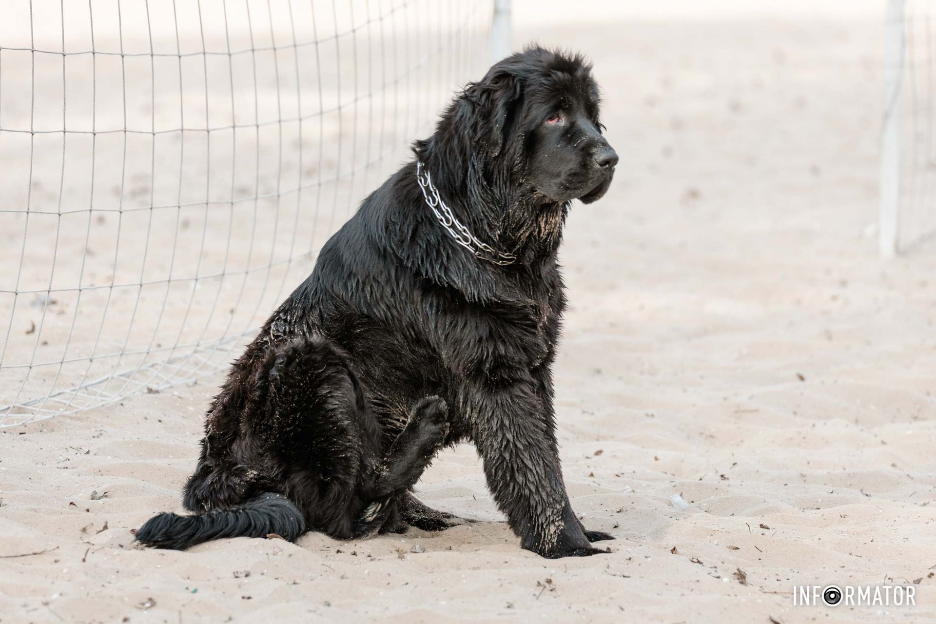 Сонечко сховалось за хмарами, але все одно на вулиці досить спекотно