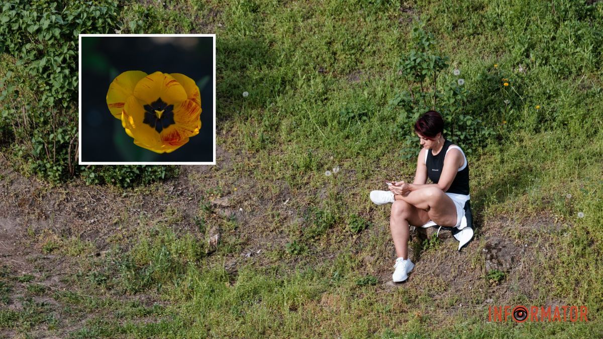 У Дніпрі буде ясно: прогноз погоди на 14 квітня