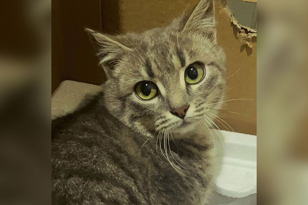 Мальчик Мальчик