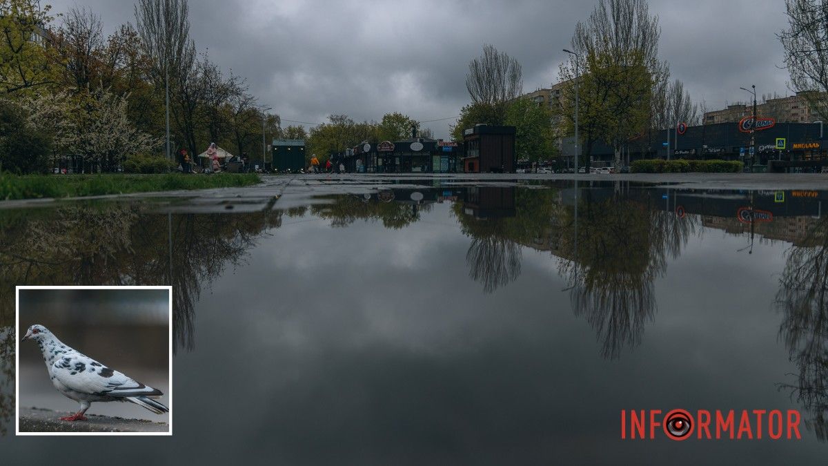 Погода на 15 квітня: у Дніпрі очікується невеликий дощ
