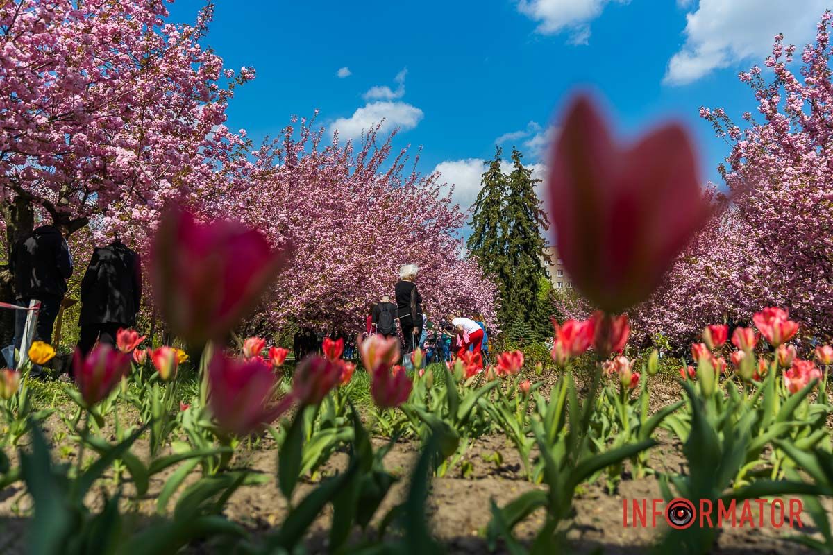 Для мене тільки дару не придбала,