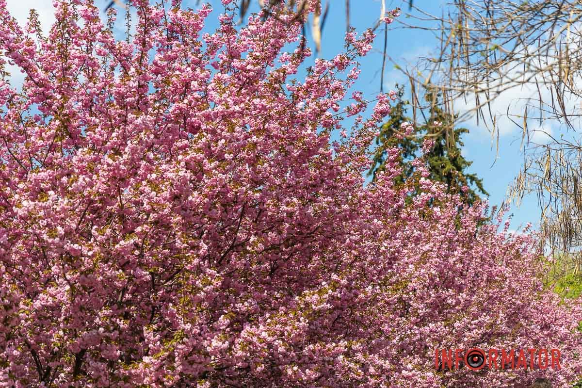 Ні, не забула! У вікно до мене