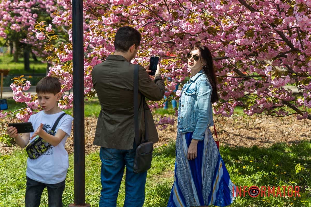 Заглянули від яблуні гілки,