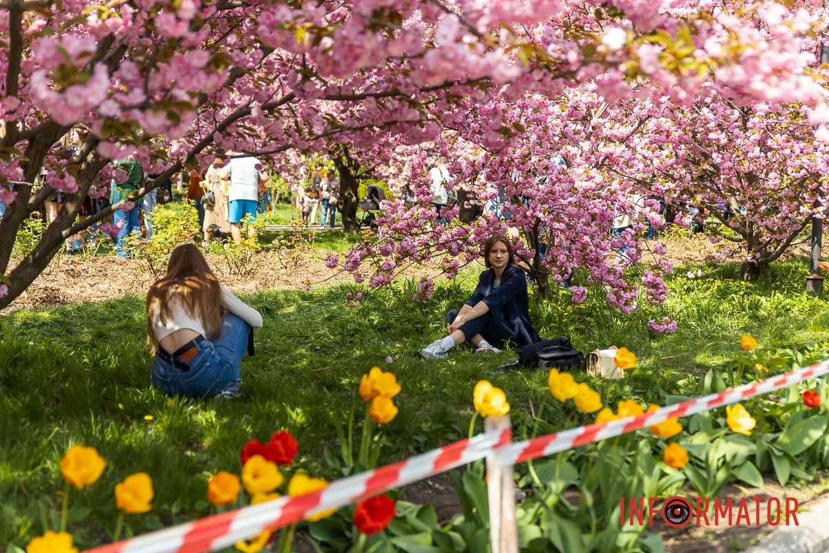 Дарунки всім несе вона, ясна,