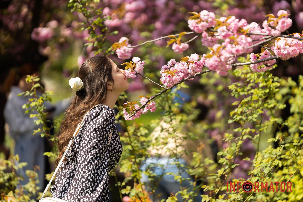 Все ожило, усе загомоніло –