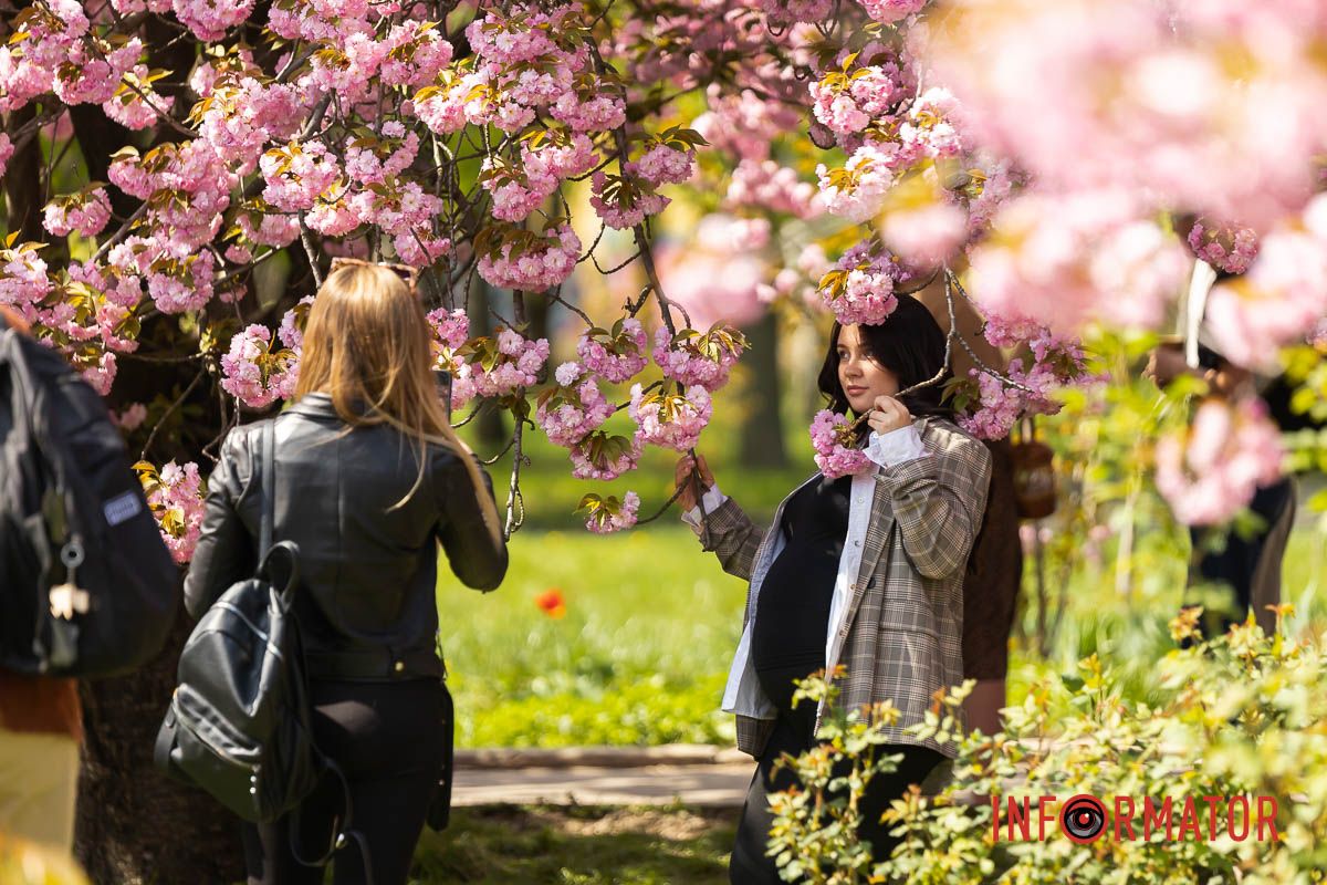 Вона летіла хутко, мов стокрила,