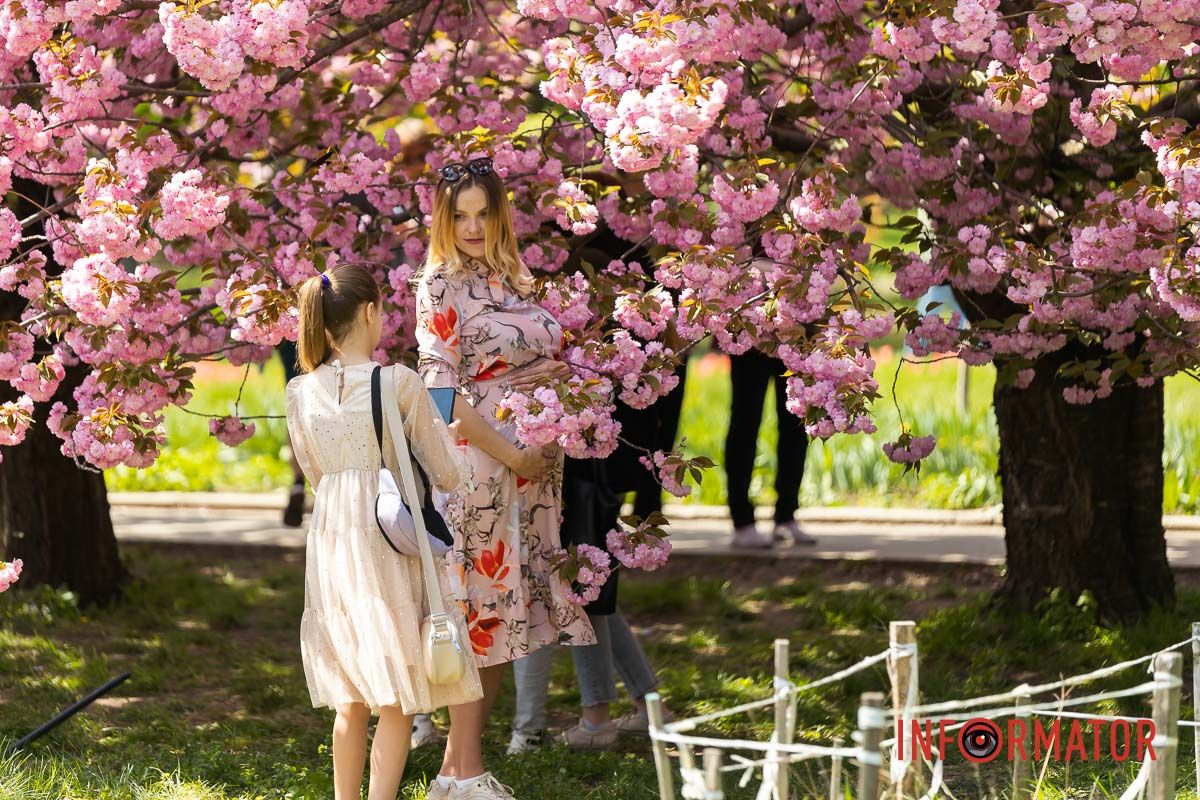 – Сніг у полі розтає.