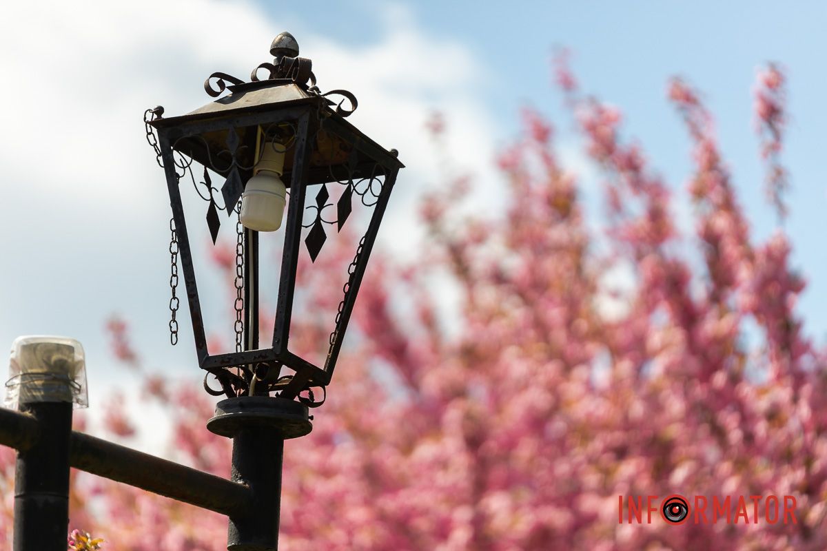 І любий гай свій відгук з ним прислав.