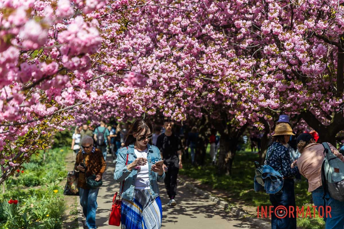 – А над полем що бринить?