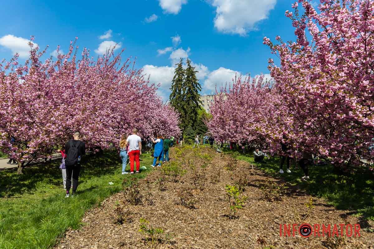 – А що пнеться з-під листа?