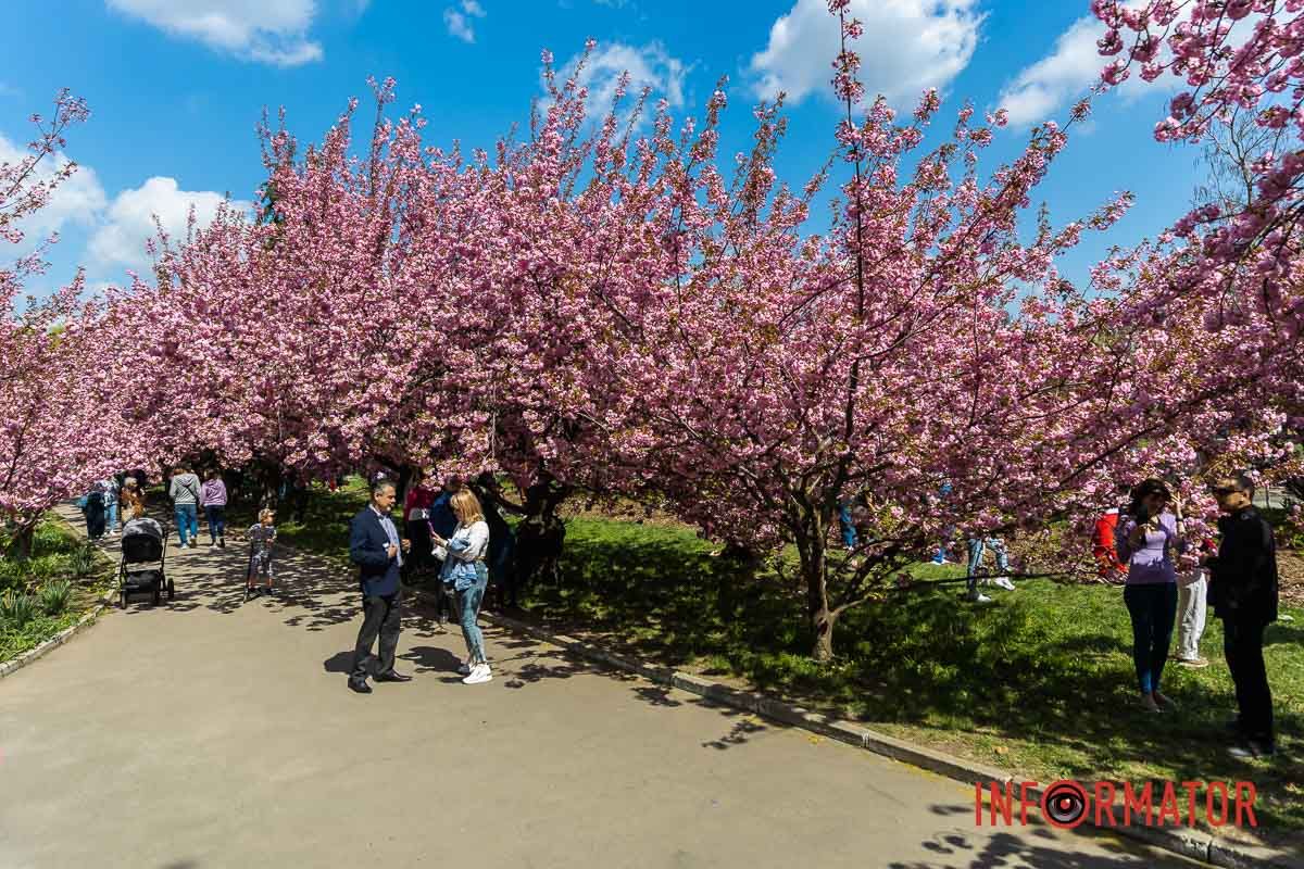 – Ніжні проліски малі.