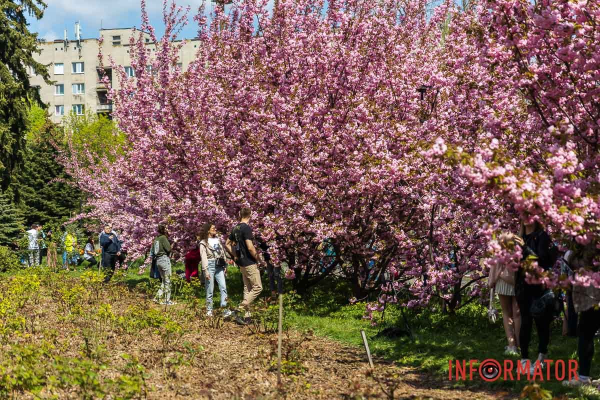 – Що ж синіє на землі?